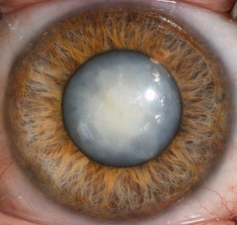 screenshot 2026 02 18 220417