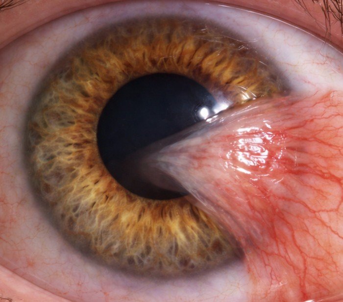 screenshot 2026 02 18 231549